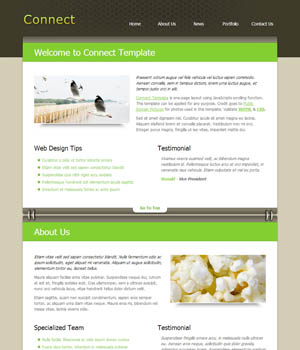 【使用教程】简单的DDOS平台